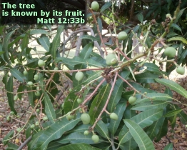 Word of Encouragement