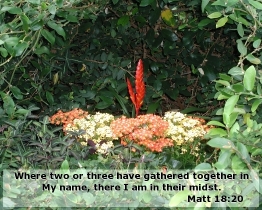 Word of Encouragement