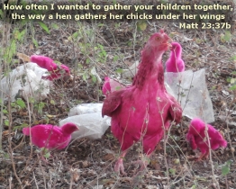 Word of Encouragement