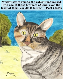 Word of Encouragement