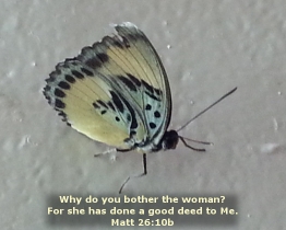 Word of Encouragement