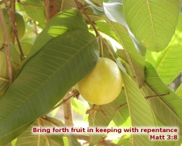 Word of Encouragement