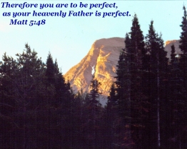 Word of Encouragement