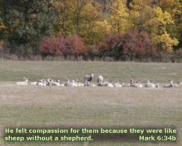 Word of Encouragement