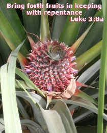 Word of Encouragement