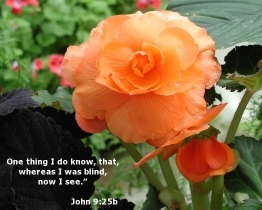 Word of Encouragement