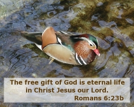 Word of Encouragement