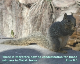 Word of Encouragement