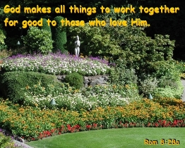 Word of Encouragement