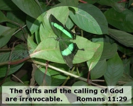 Word of Encouragement