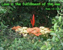 Word of Encouragement