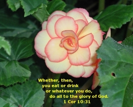 Word of Encouragement