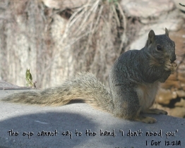 Word of Encouragement