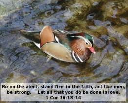 Word of Encouragement