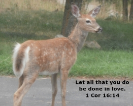 Word of Encouragement