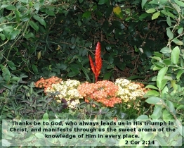 Word of Encouragement