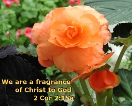 Word of Encouragement