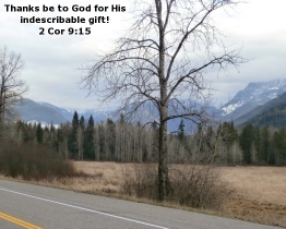 Word of Encouragement