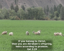 Word of Encouragement