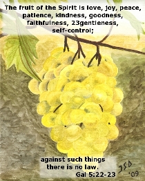 Word of Encouragement