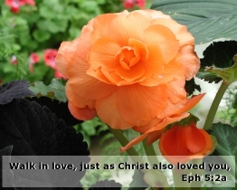 Word of Encouragement