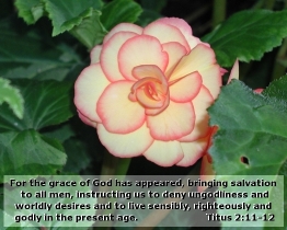 Word of Encouragement