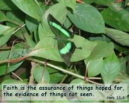 Word of Encouragement