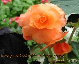 Word of Encouragement