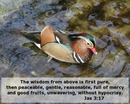 Word of Encouragement