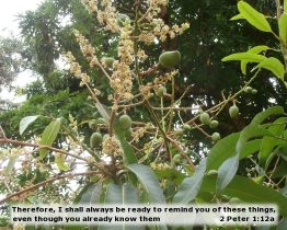 Word of Encouragement